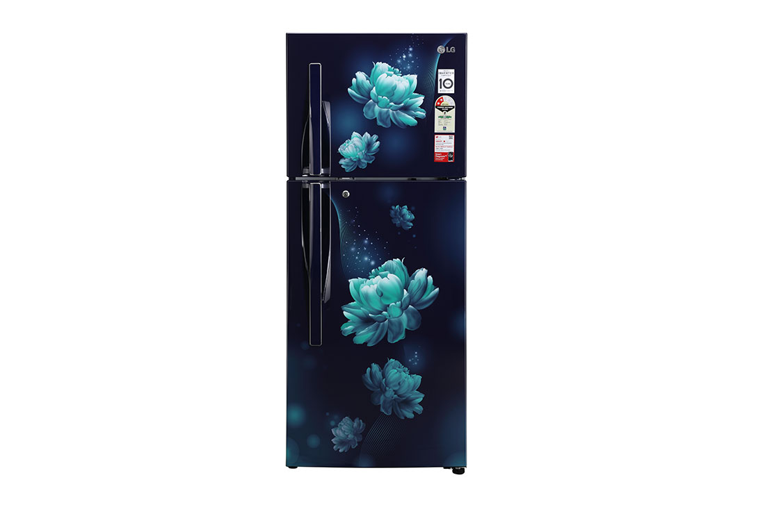 LG 260L Double Door Refrigerator